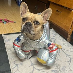 Astronaut Pet Costume.  Size Large